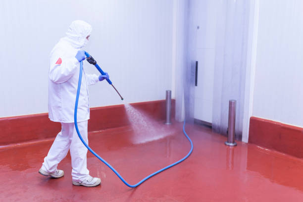 Best Roof Washing  in Muse, PA